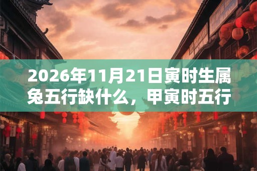 2026年11月21日寅时生属兔五行缺什么，甲寅时五行缺什么