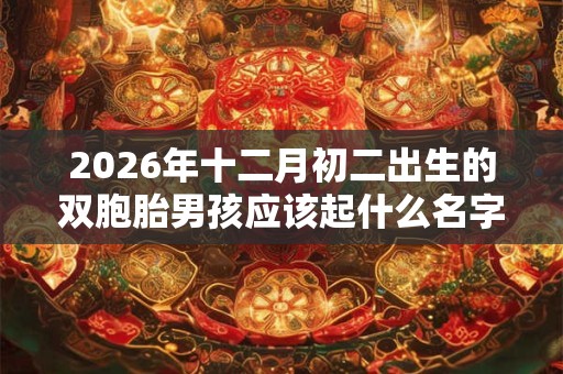 2026年十二月初二出生的双胞胎男孩应该起什么名字，五行属什么