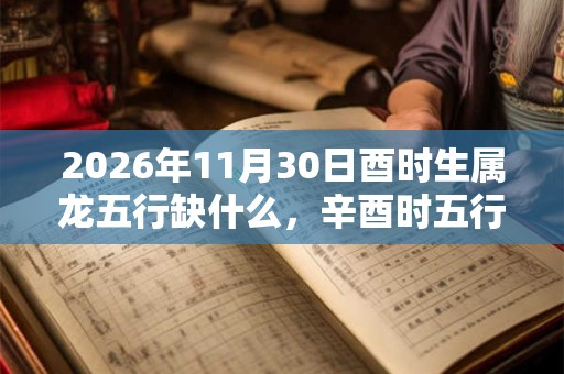 2026年11月30日酉时生属龙五行缺什么，辛酉时五行缺什么