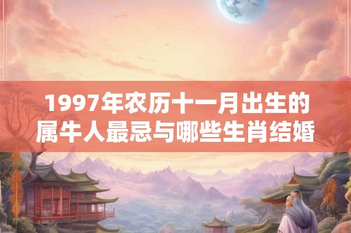 1997年农历十一月出生的属牛人最忌与哪些生肖结婚？
