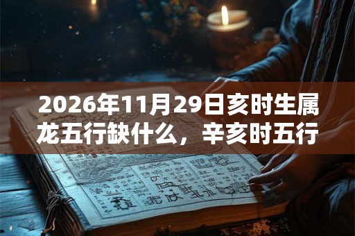 2026年11月29日亥时生属龙五行缺什么，辛亥时五行缺什么