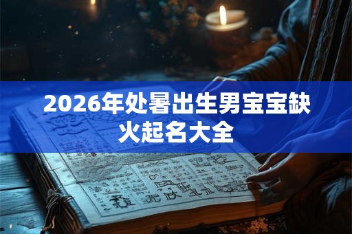 2026年处暑出生男宝宝缺火起名大全