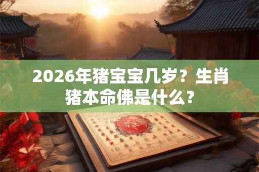2026年猪宝宝几岁?生肖猪本命佛是什么? 2026年猪宝宝几岁?生肖猪本命佛是什么?