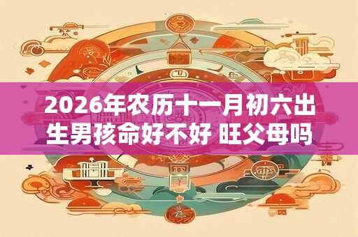 2026年农历十一月初六出生男孩命好不好 旺父母吗