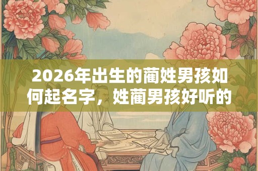 2026年出生的蔺姓男孩如何起名字，姓蔺男孩好听的名字
