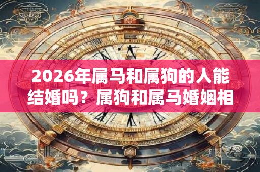 2026年属马和属狗的人能结婚吗?属狗和属马婚姻相配吗? 2026年属马和属狗的人能结婚吗?属狗和属马婚姻相配吗?