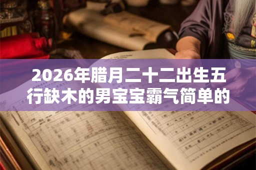2026年腊月二十二出生五行缺木的男宝宝霸气简单的名字