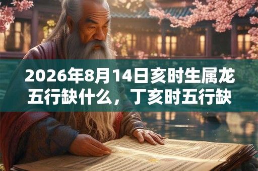 2026年8月14日亥时生属龙五行缺什么，丁亥时五行缺什么