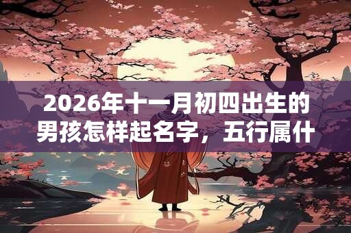 2026年十一月初四出生的男孩怎样起名字，五行属什么