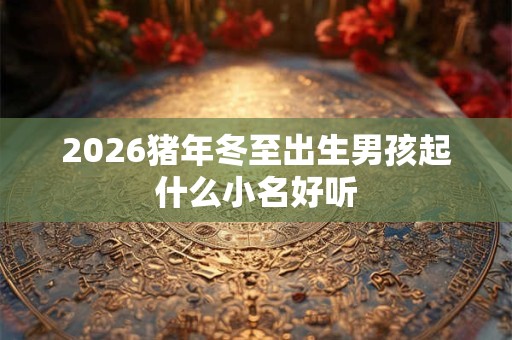 2026猪年冬至出生男孩起什么小名好听 2026猪年冬至出生男孩起什么小名好听