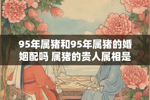 95年属猪和95年属猪的婚姻配吗 属猪的贵人属相是什么生肖