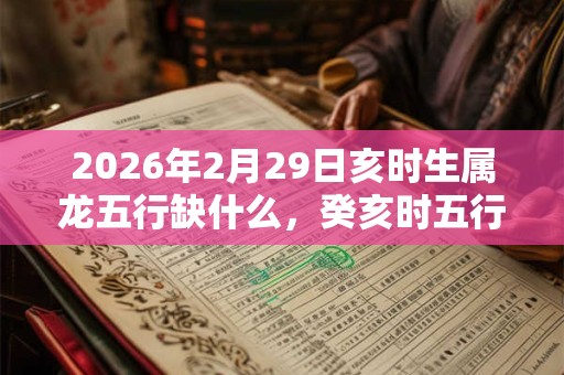 2026年2月29日亥时生属龙五行缺什么，癸亥时五行缺什么