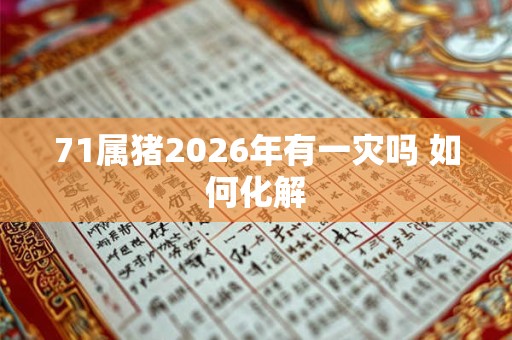 71属猪2026年有一灾吗 如何化解