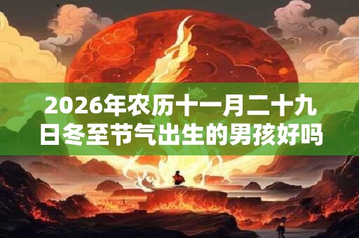 2026年农历十一月二十九日冬至节气出生的男孩好吗？