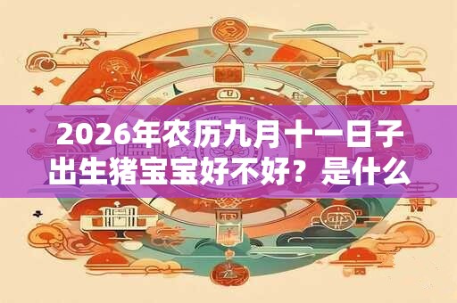 2026年农历九月十一日子出生猪宝宝好不好?是什么命? 2026年农历九月十一日子出生猪宝宝好不好?是什么命?