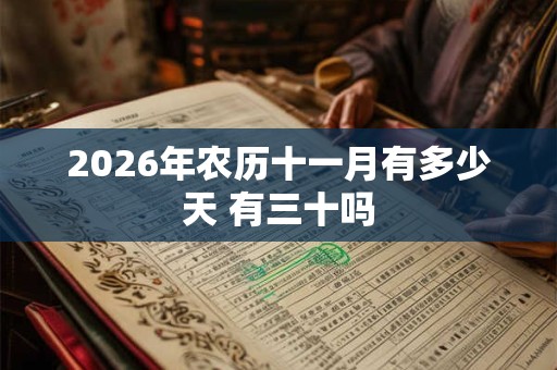2026年农历十一月有多少天 有三十吗