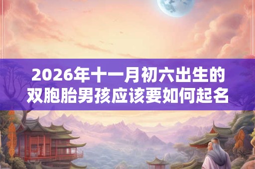 2026年十一月初六出生的双胞胎男孩应该要如何起名字好，五行属什么