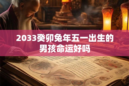 2033癸卯兔年五一出生的男孩命运好吗