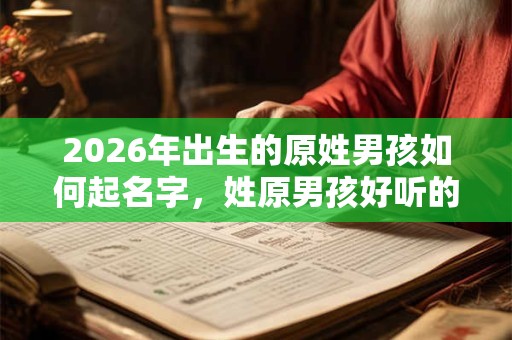 2026年出生的原姓男孩如何起名字，姓原男孩好听的名字