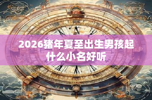 2026猪年夏至出生男孩起什么小名好听