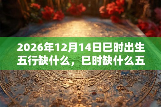 2026年12月14日巳时出生五行缺什么，巳时缺什么五行