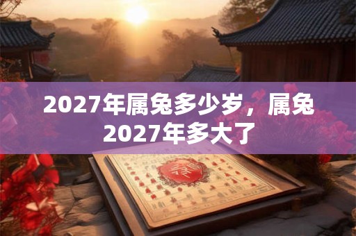 2027年属兔多少岁，属兔2027年多大了