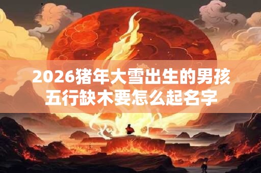 2026猪年大雪出生的男孩五行缺木要怎么起名字