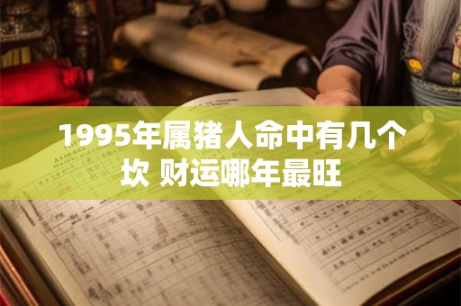 1995年属猪人命中有几个坎 财运哪年最旺