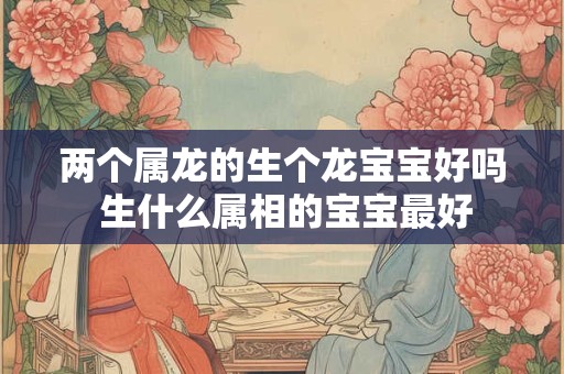 两个属龙的生个龙宝宝好吗 生什么属相的宝宝最好