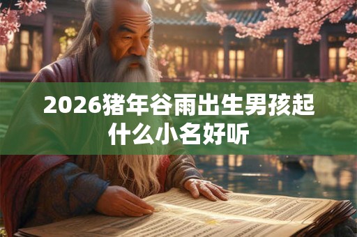 2026猪年谷雨出生男孩起什么小名好听