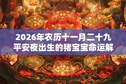 2026年农历十一月二十九平安夜出生的猪宝宝命运解析！