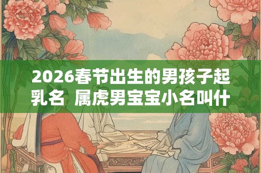 2026春节出生的男孩子起乳名  属虎男宝宝小名叫什么好