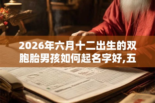 2026年六月十二出生的双胞胎男孩如何起名字好,五行属什么？