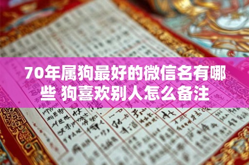 70年属狗最好的微信名有哪些 狗喜欢别人怎么备注