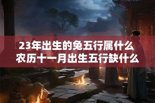 23年出生的兔五行属什么 农历十一月出生五行缺什么