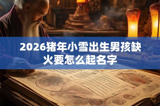 2026猪年小雪出生男孩缺火要怎么起名字