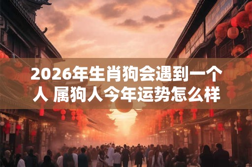 2026年生肖狗会遇到一个人 属狗人今年运势怎么样