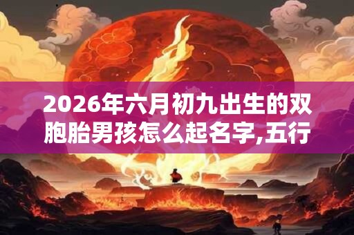 2026年六月初九出生的双胞胎男孩怎么起名字,五行属什么？