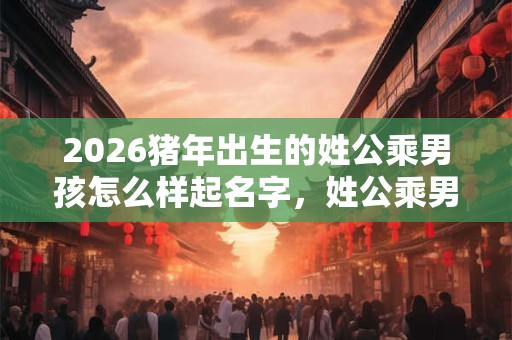 2026猪年出生的姓公乘男孩怎么样起名字，姓公乘男孩好名推荐