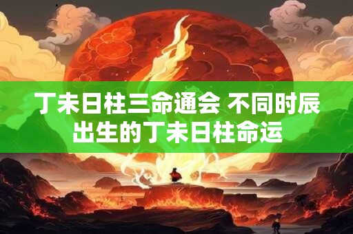 丁未日柱三命通会 不同时辰出生的丁未日柱命运