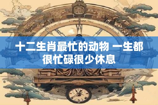 十二生肖最忙的动物 一生都很忙碌很少休息