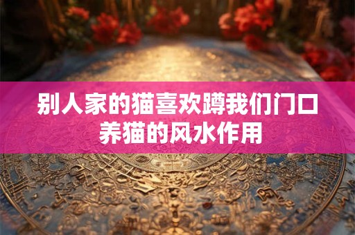 别人家的猫喜欢蹲我们门口 养猫的风水作用
