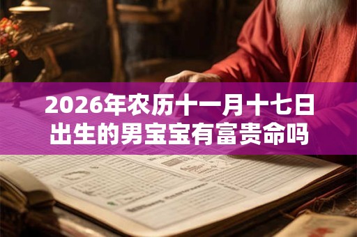 2026年农历十一月十七日出生的男宝宝有富贵命吗
