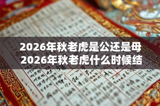2026年秋老虎是公还是母 2026年秋老虎什么时候结束