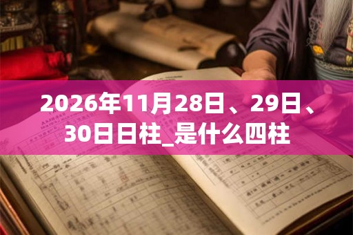 2026年11月28日、29日、30日日柱_是什么四柱