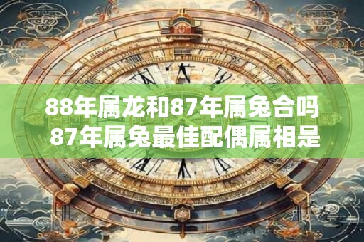88年属龙和87年属兔合吗 87年属兔最佳配偶属相是啥