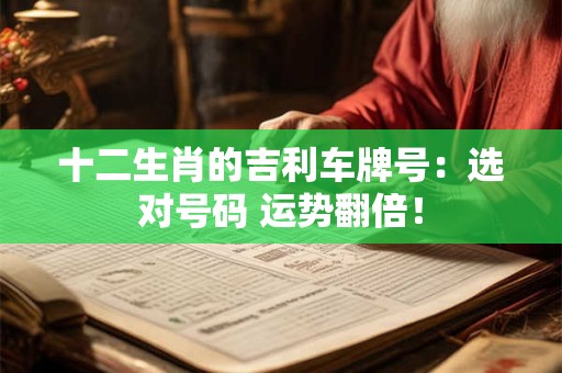 十二生肖的吉利车牌号：选对号码 运势翻倍！