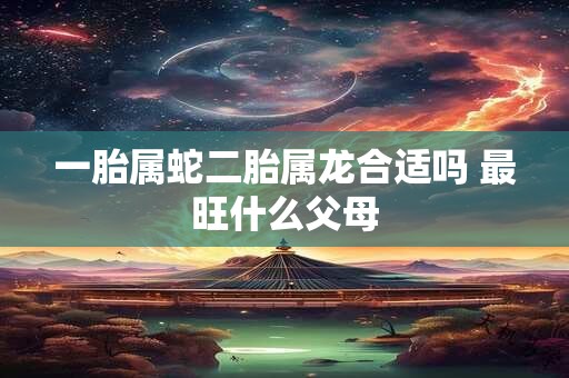 一胎属蛇二胎属龙合适吗 最旺什么父母