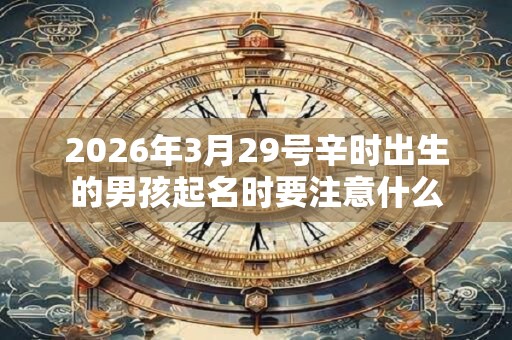 2026年3月29号辛时出生的男孩起名时要注意什么