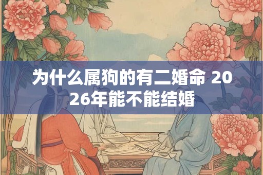 为什么属狗的有二婚命 2026年能不能结婚